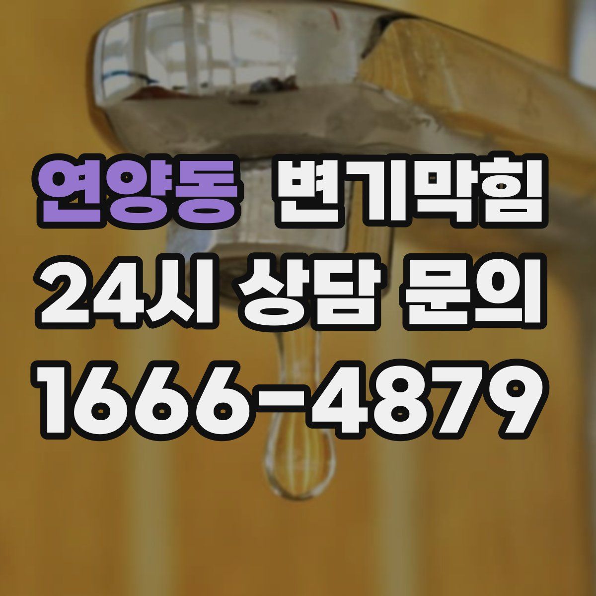 연양동 변기막힘