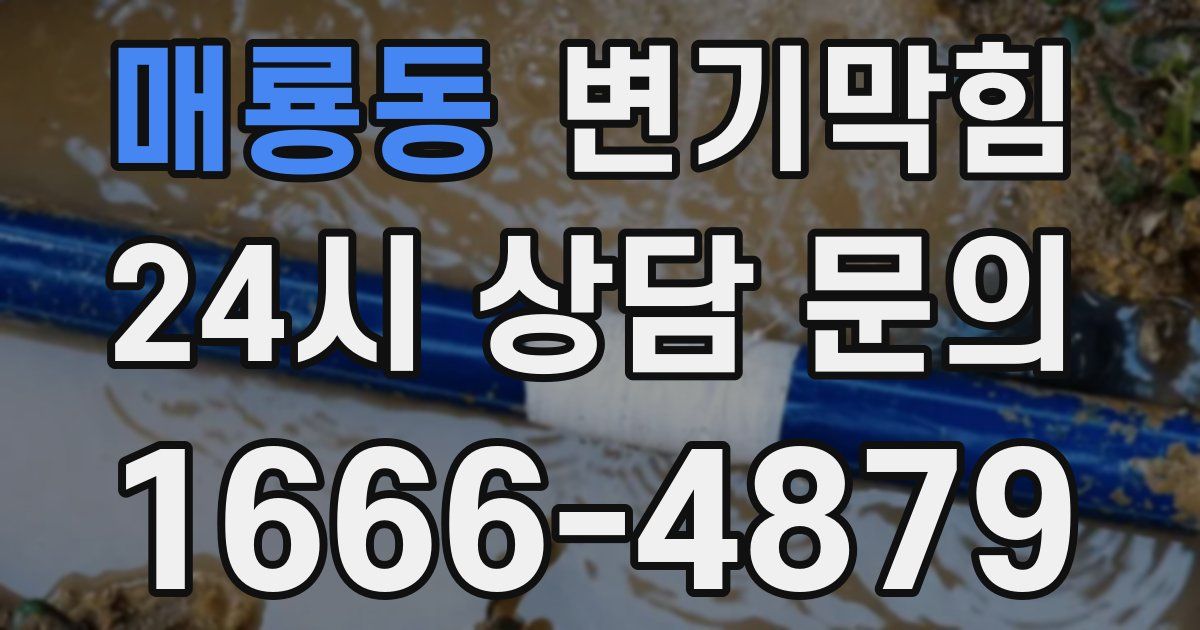 매룡동 변기