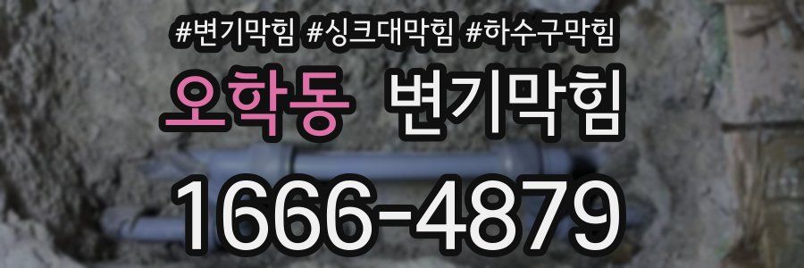 변기막힘