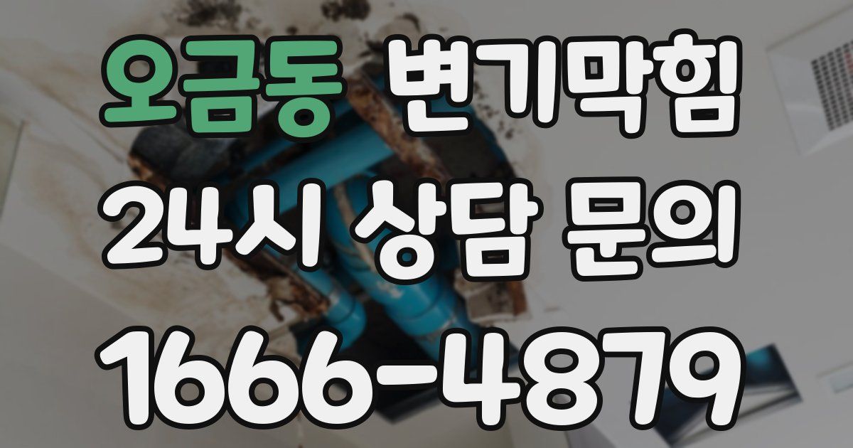 오금동 변기