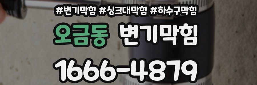 변기막힘