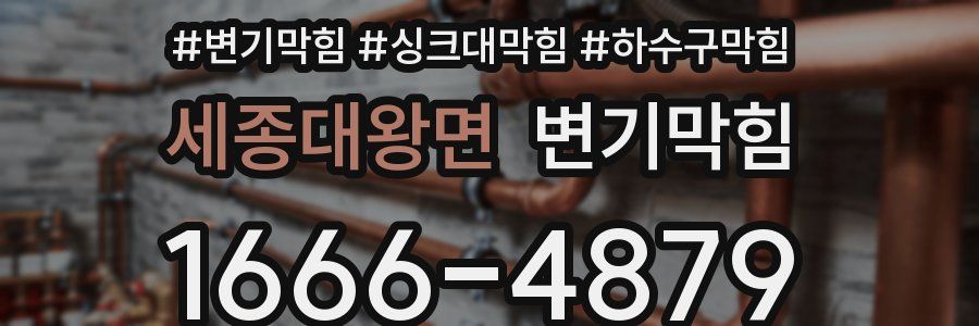 변기막힘