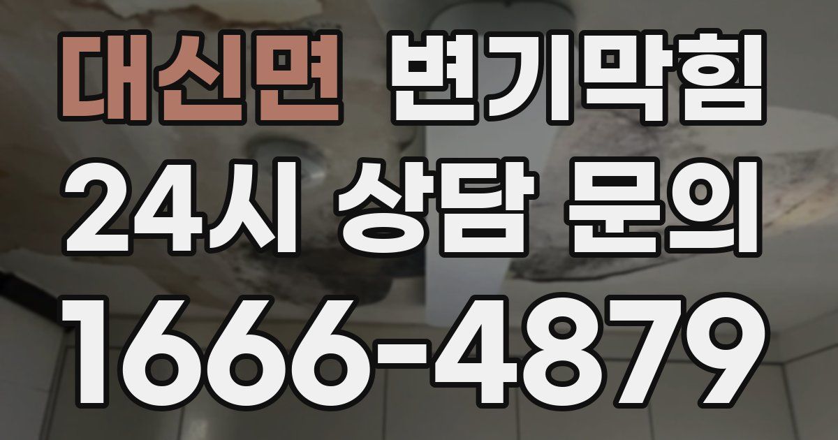 대신면 변기