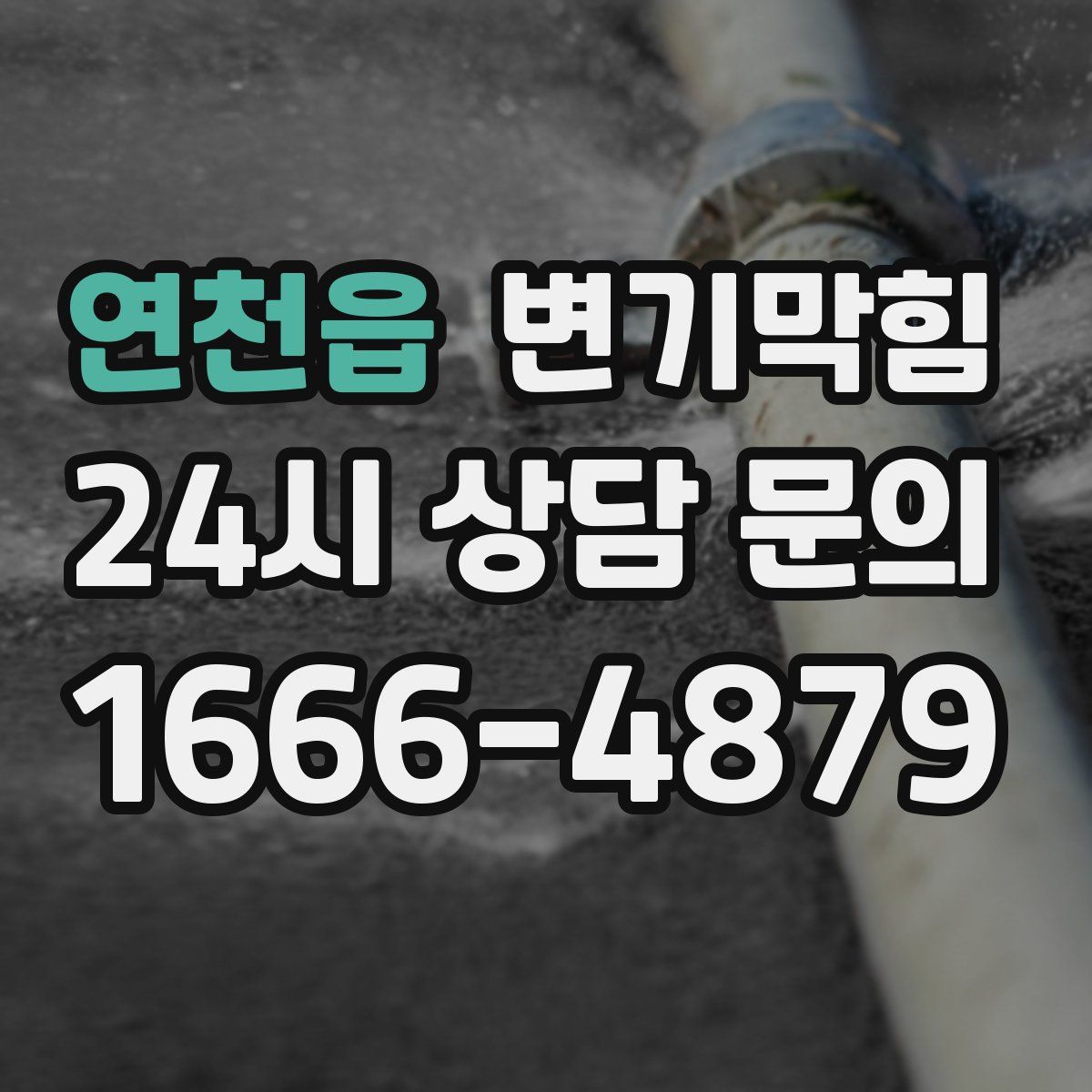 연천읍 변기막힘