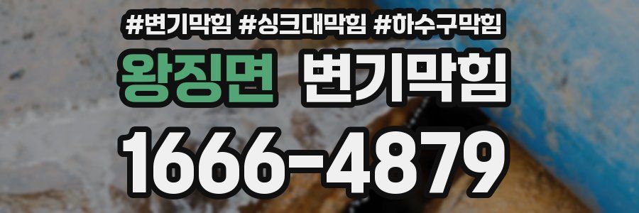 변기막힘