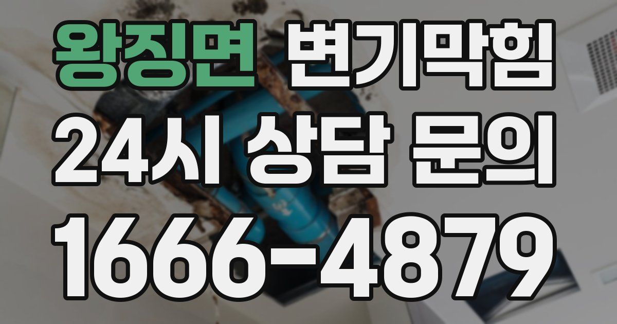 왕징면 변기