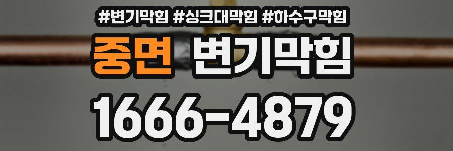 변기막힘