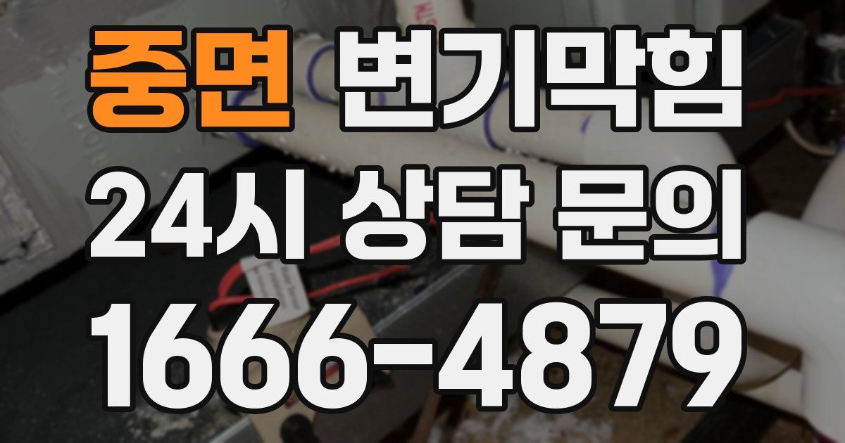 중면 변기