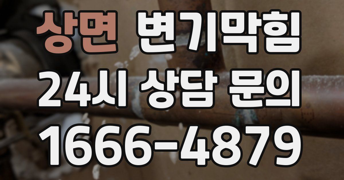 상면 변기
