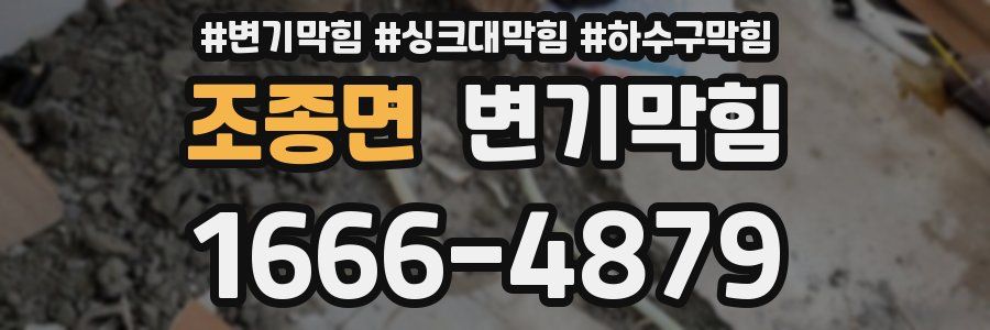 변기막힘