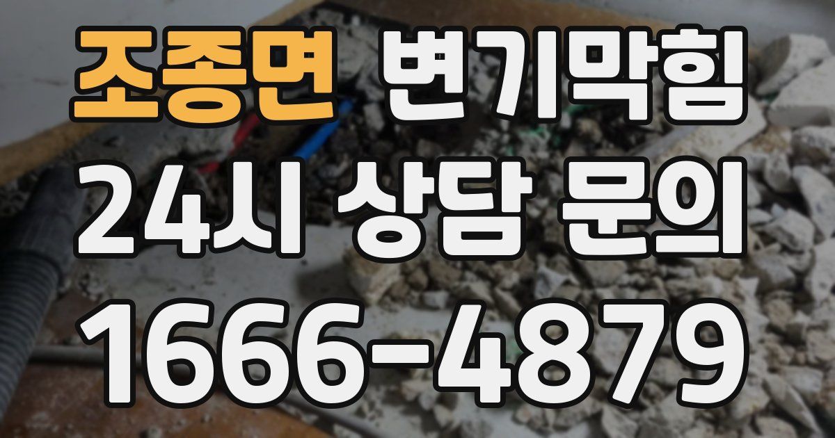 조종면 변기