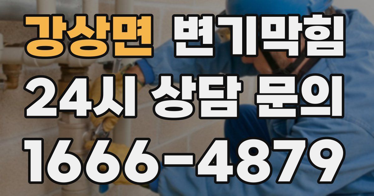 강상면 변기