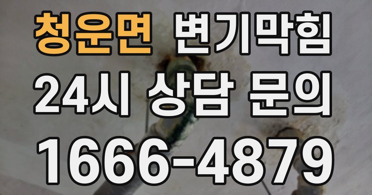 청운면 변기