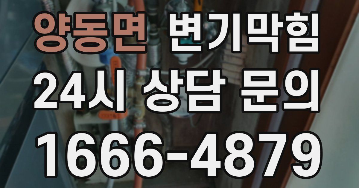양동면 변기