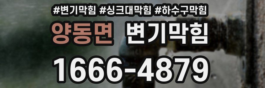 변기막힘