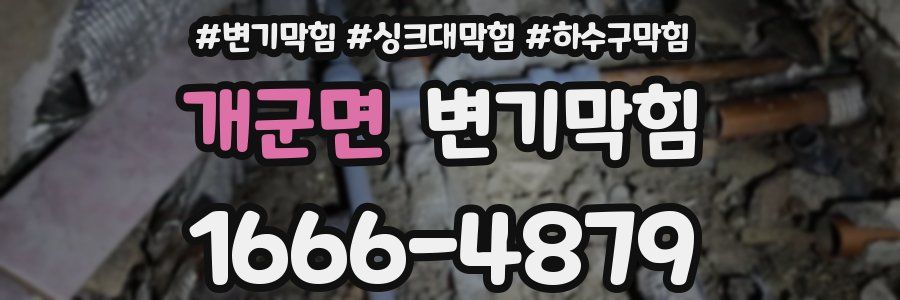변기막힘