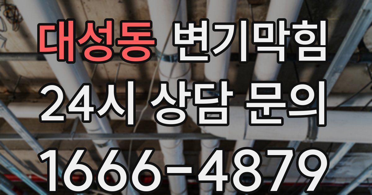 대성동 변기