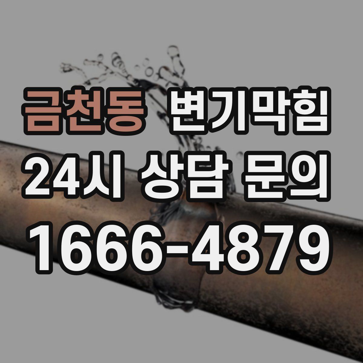 금천동 변기막힘