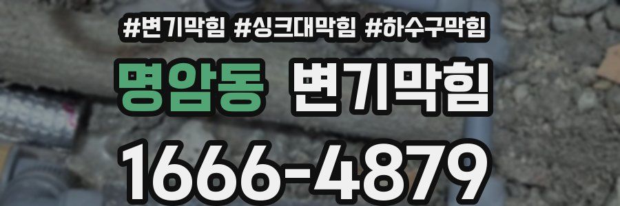 변기막힘