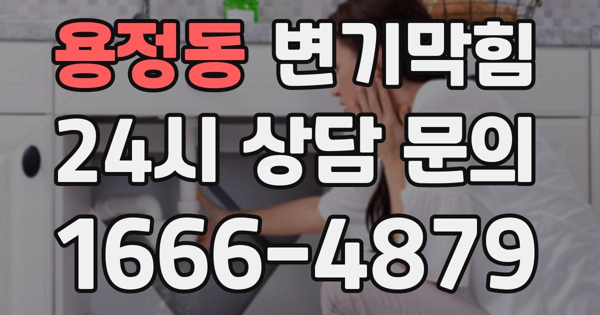 용정동 변기