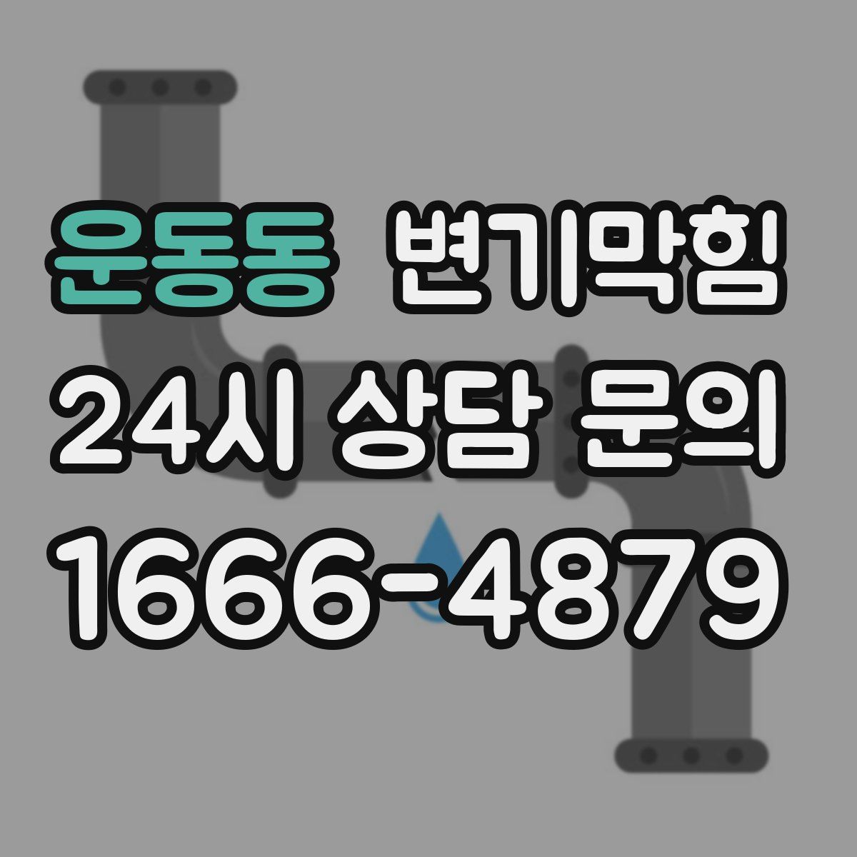 운동동 변기막힘