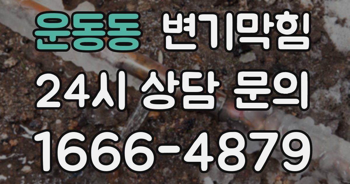 운동동 변기