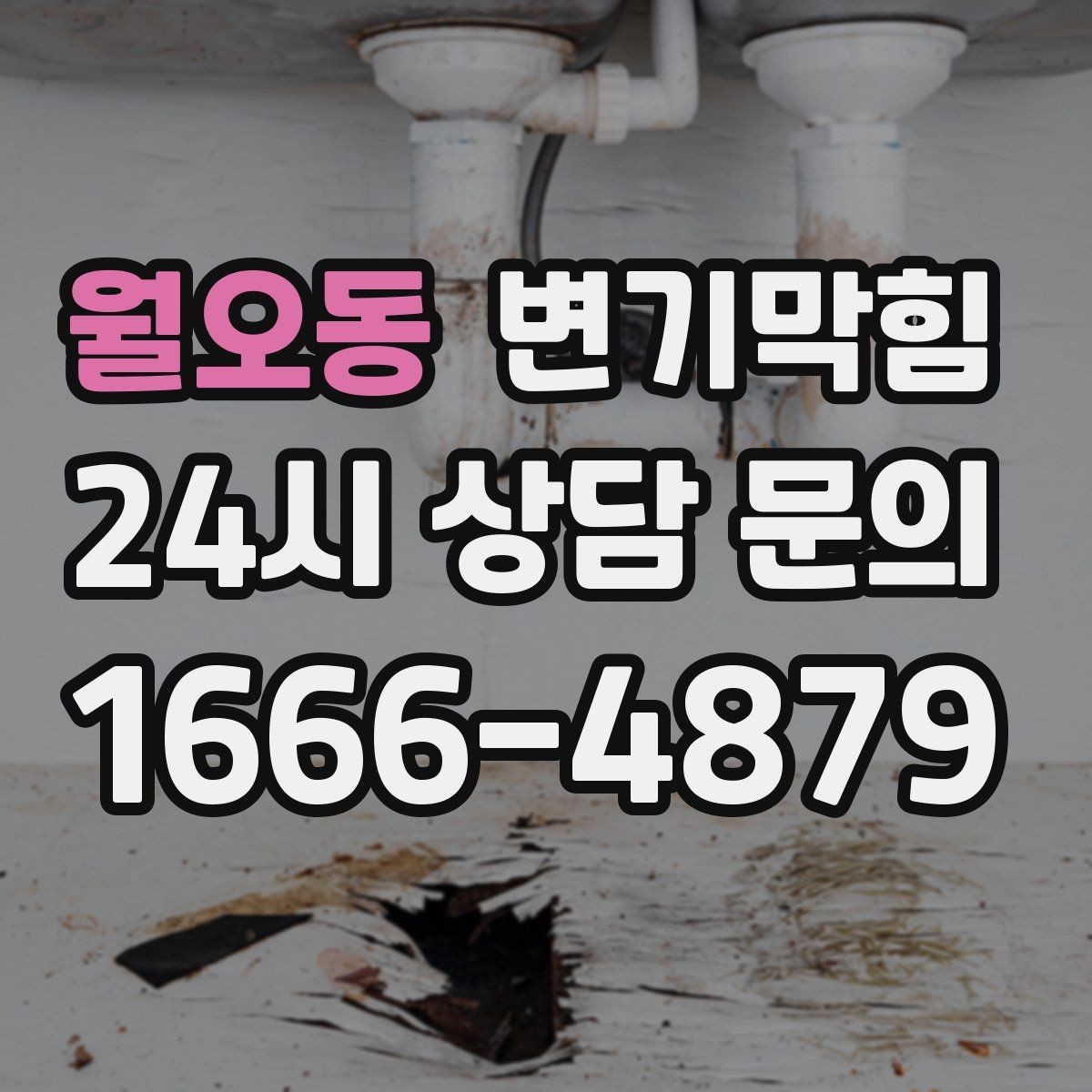 월오동 변기막힘 단독 주택 하수구뚫기 냄새 종료