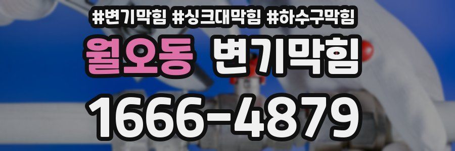 변기막힘