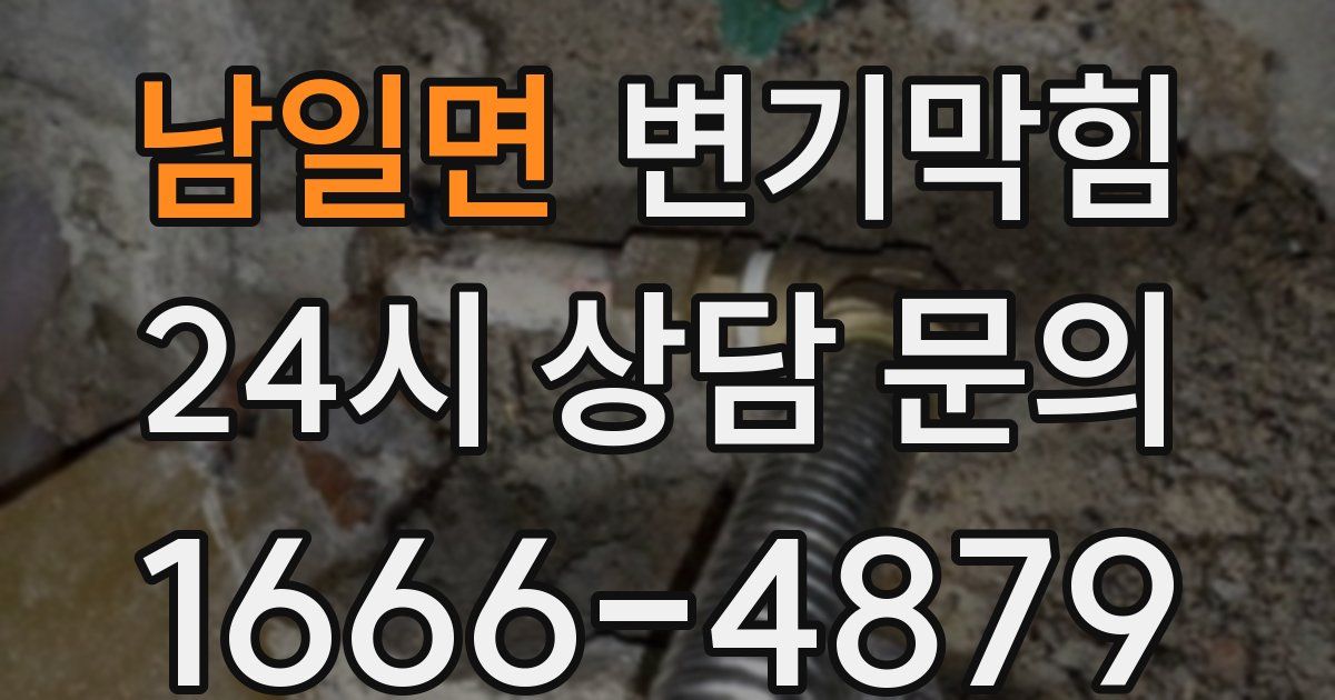 남일면 변기