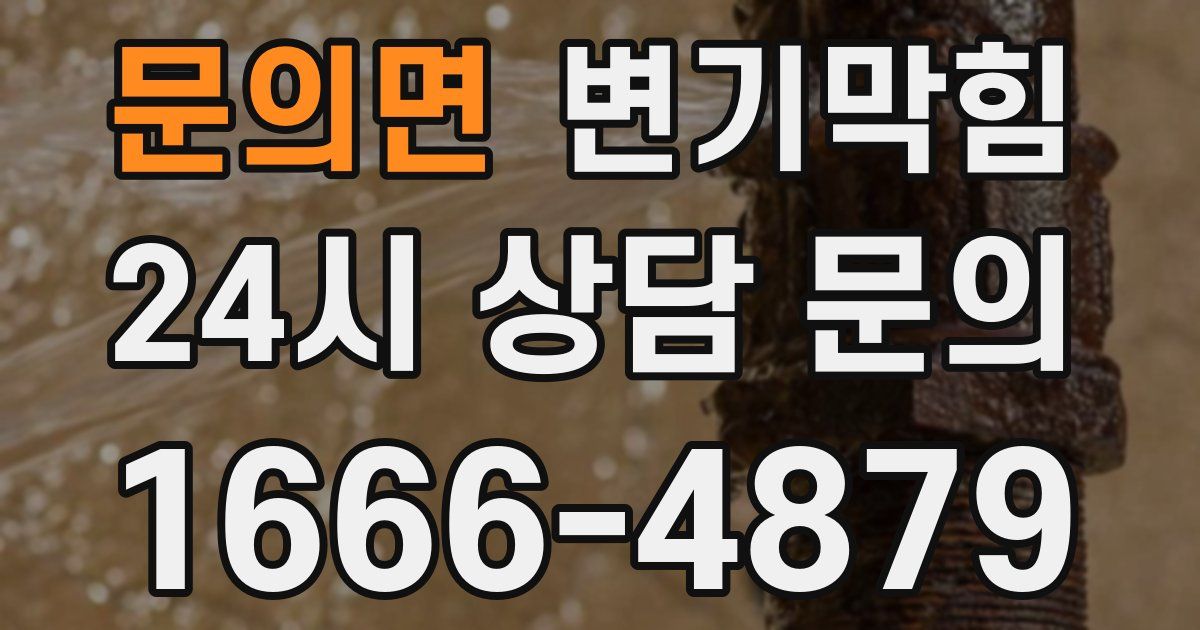 문의면 변기
