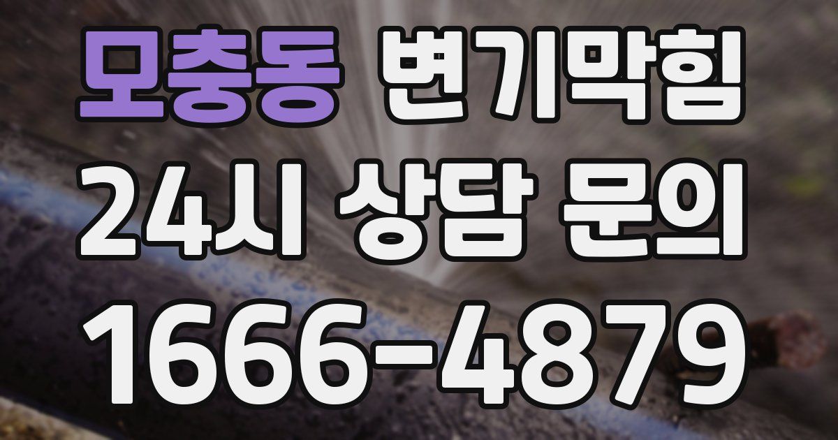 모충동 변기