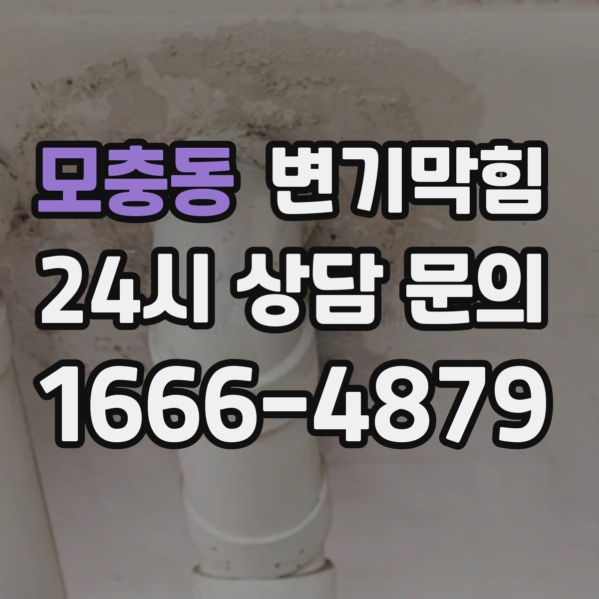 모충동 변기막힘
