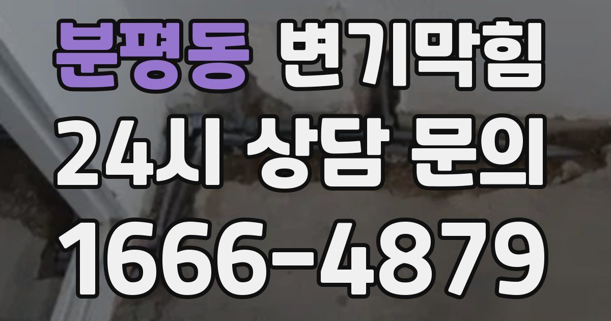 분평동 변기
