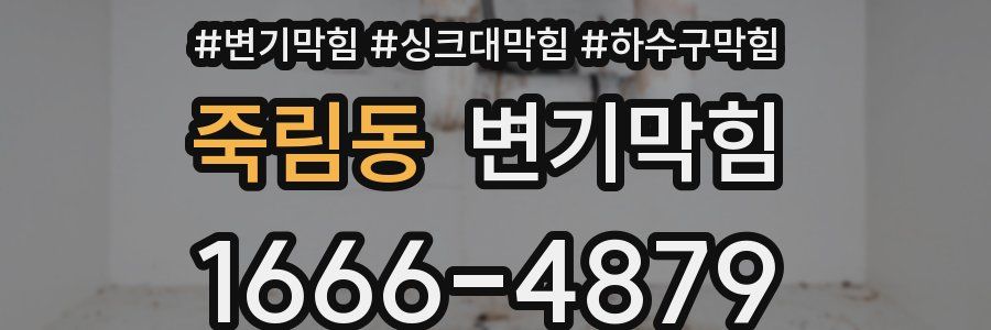 변기막힘