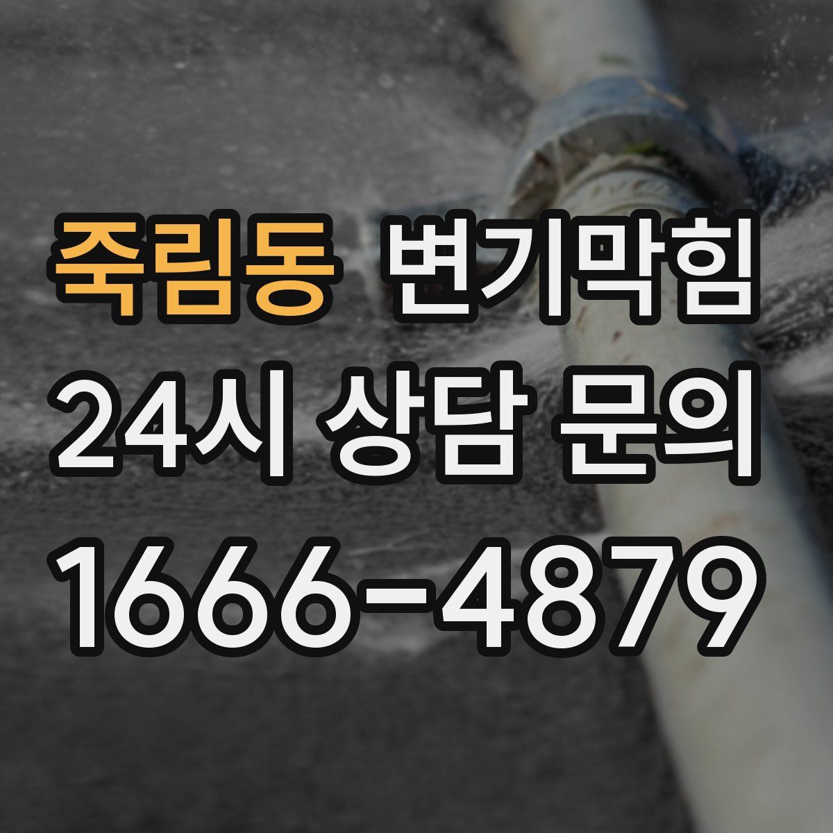 죽림동 변기막힘