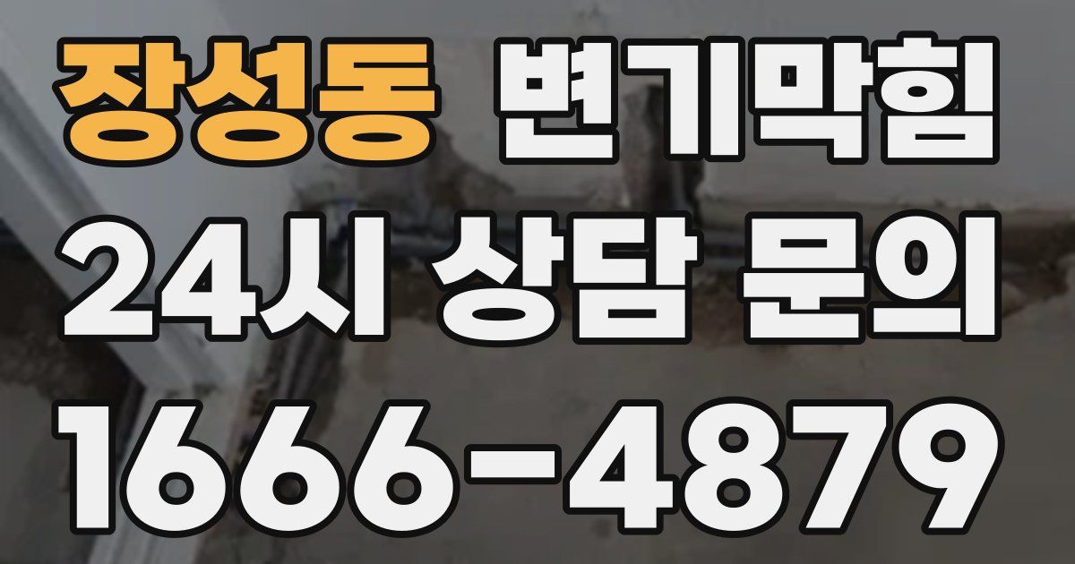 장성동 변기