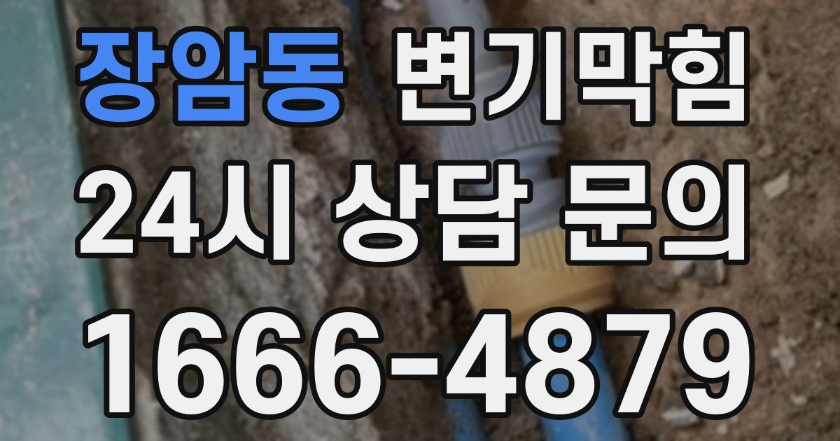 장암동 변기