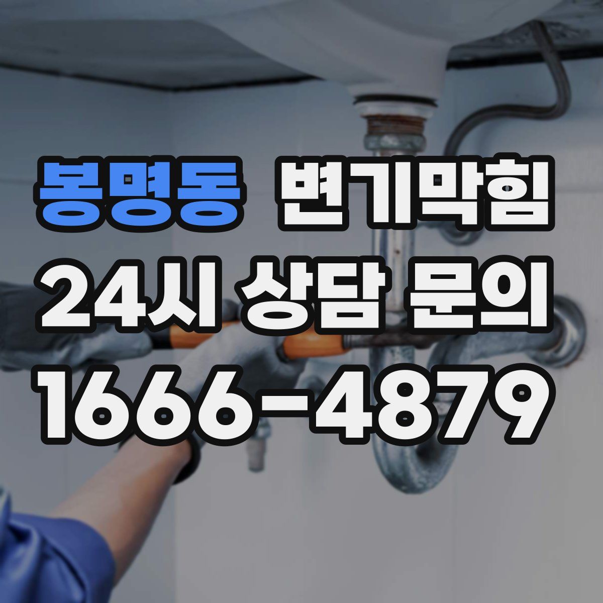 봉명동 변기막힘