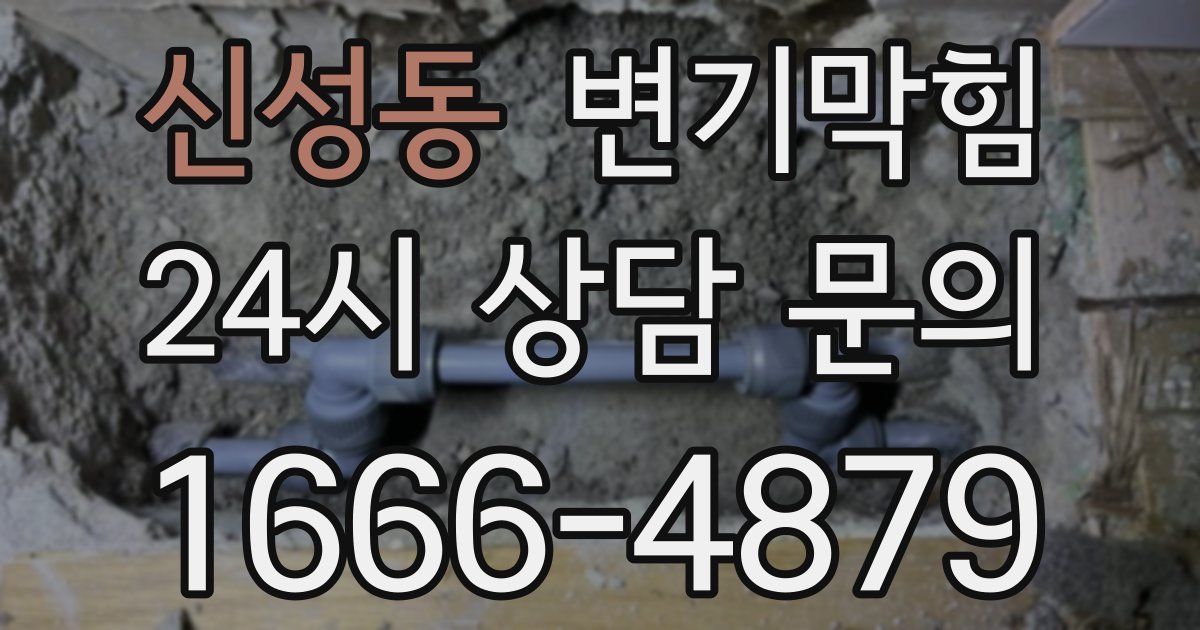 신성동 변기