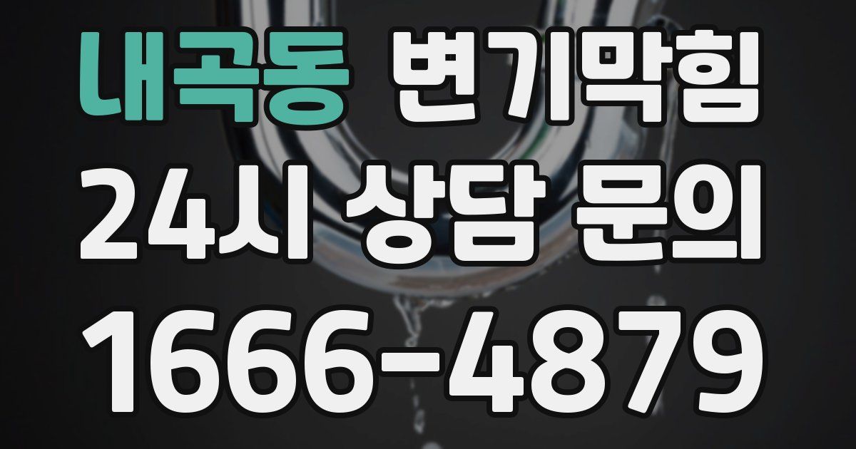 내곡동 변기