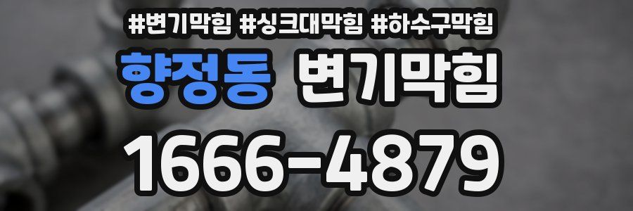 변기막힘