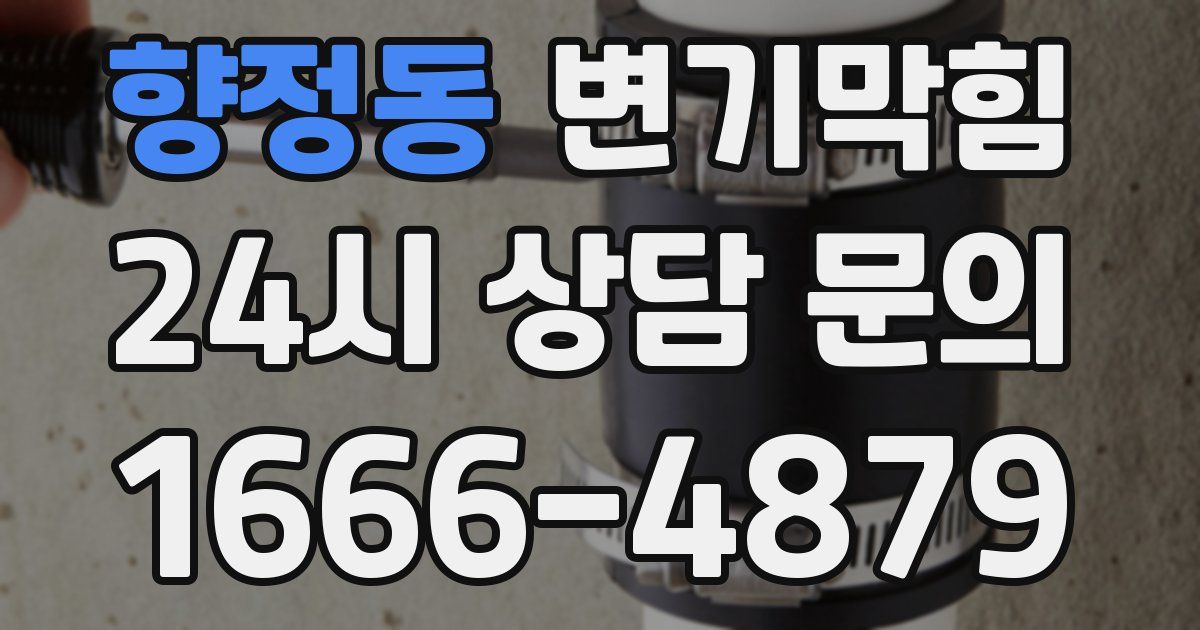향정동 변기