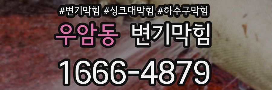 변기막힘