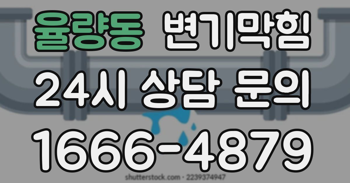 율량동 변기