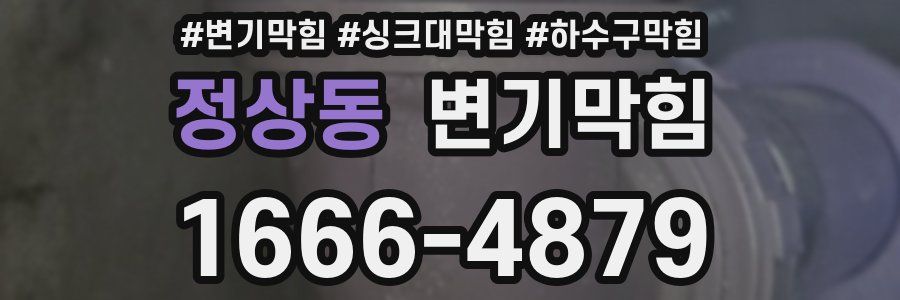 변기막힘