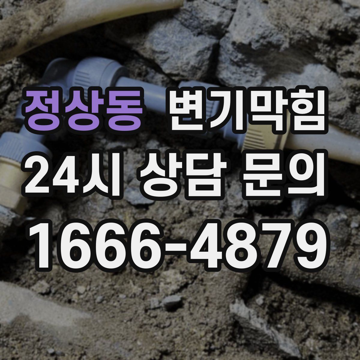 정상동 변기막힘