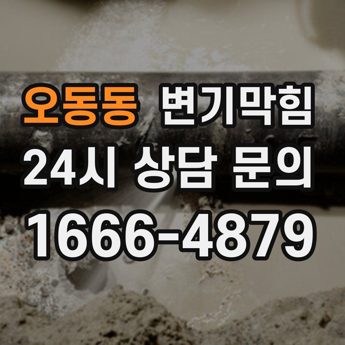 오동동 변기막힘 상가 배수구막힘 점심 피크 전 완료