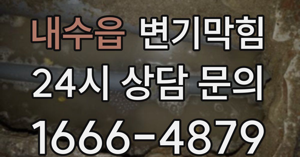 내수읍 변기