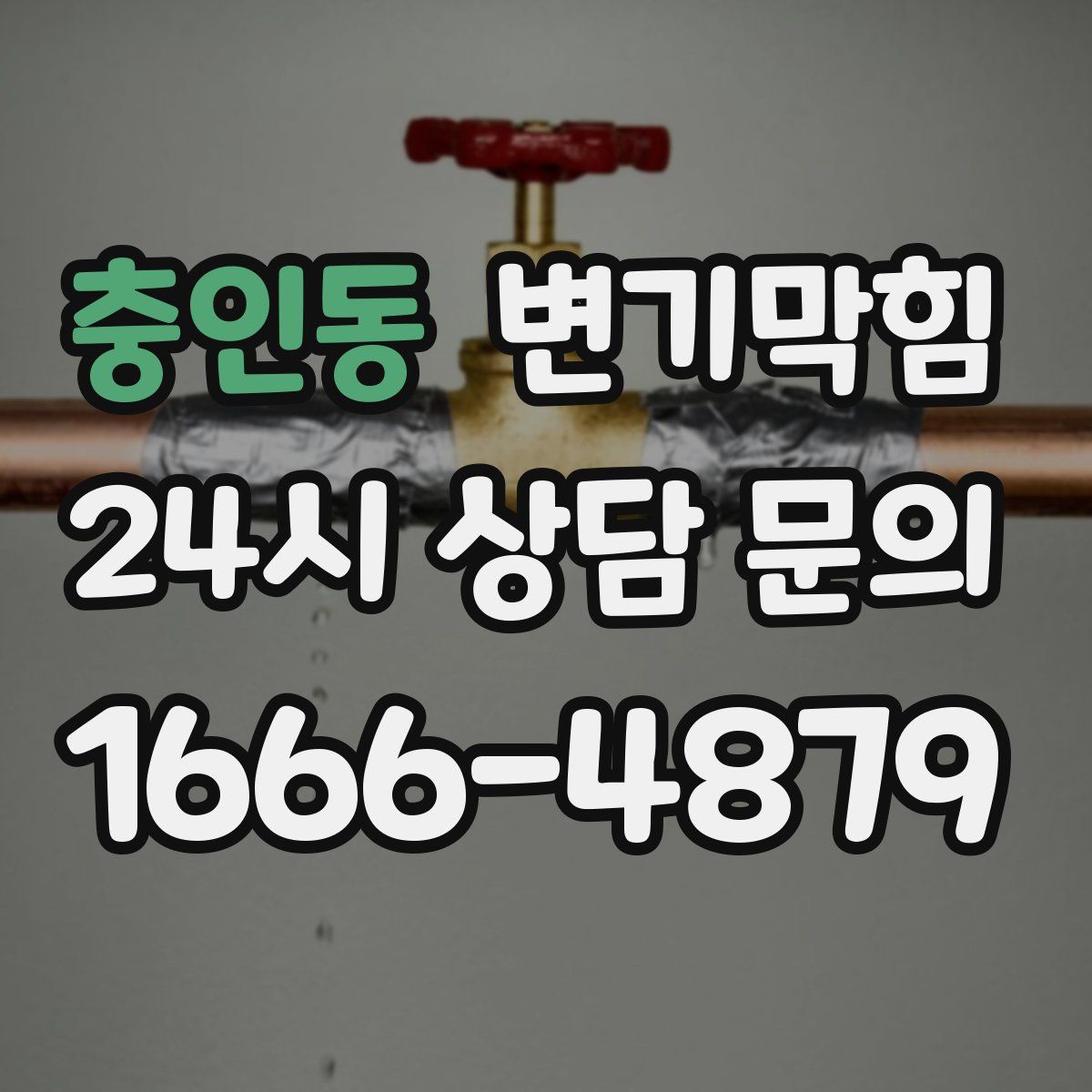 충인동 변기막힘