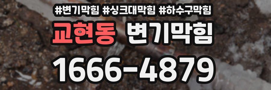 변기막힘